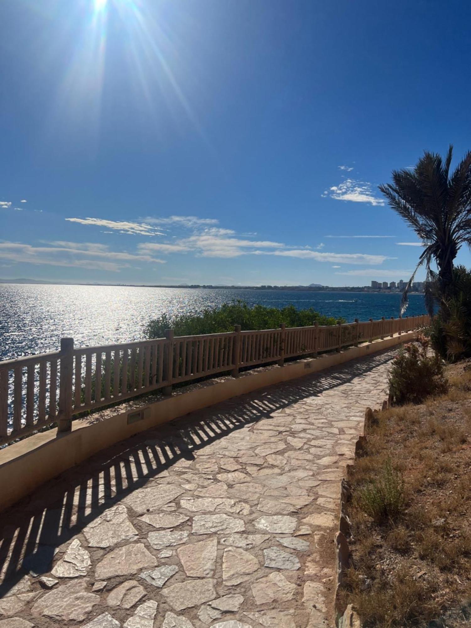 Playa Flamenca - Turquesa Del Mar - Great Sea View! Lejlighed Eksteriør billede